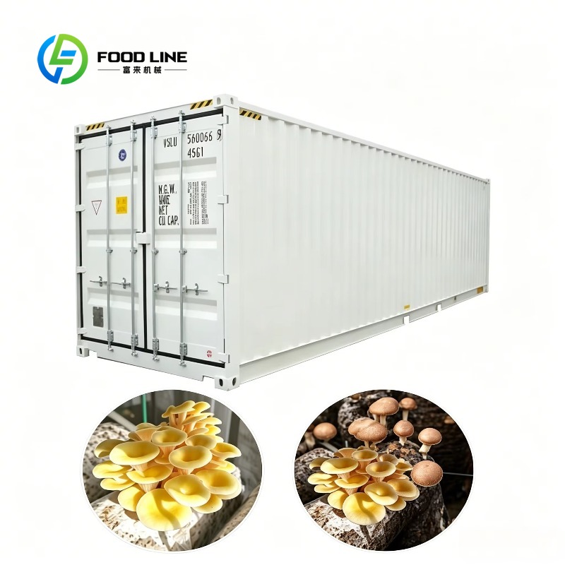 Urban Farming Indoor - Hydroponische Containerfarm mit automatischem Bewässerungssystem für