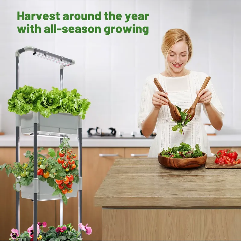 Professionelles Smart-App-gest – Urban Farming Indoor Bewertung und Preis